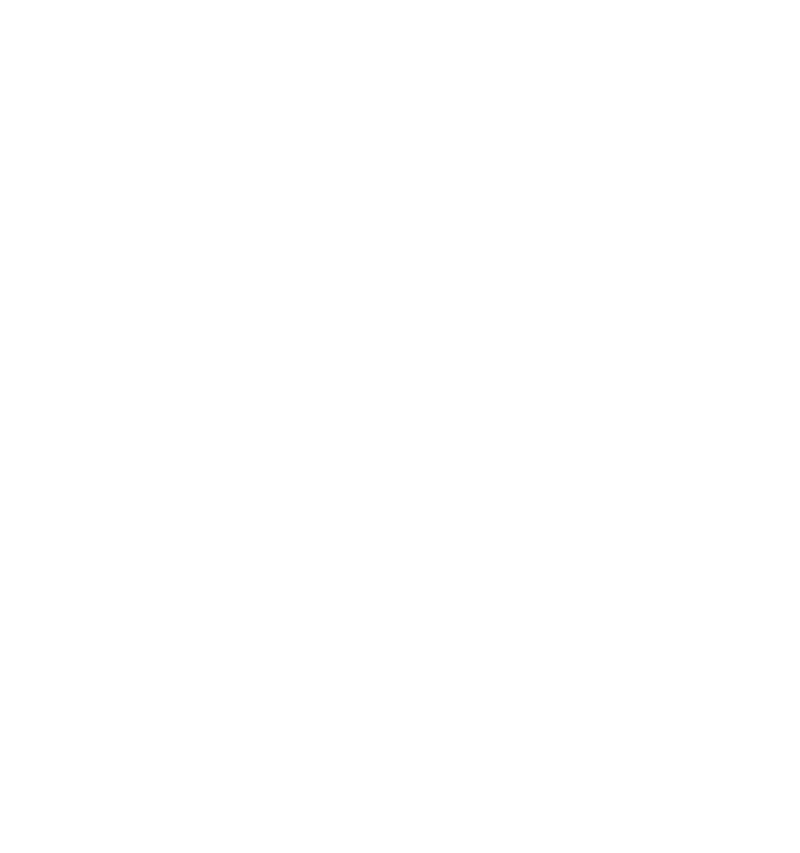 Logo Top Vita